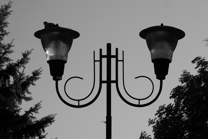 Image-normal