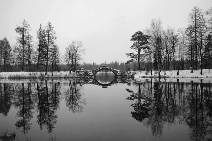 Image-normal