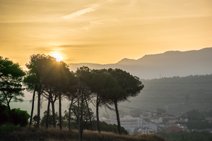 Image-preview_300x200