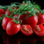 Image-square_50