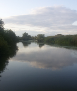 Image-preview_300x200