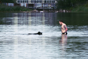 Image-preview_300x200