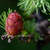 Image-square_50
