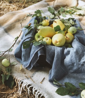 Image-preview_300x200