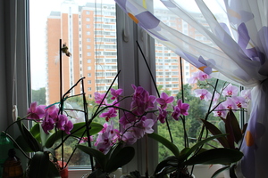 Image-preview_300x200