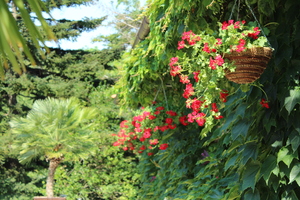 Image-preview_300x200