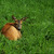 Image-square_50