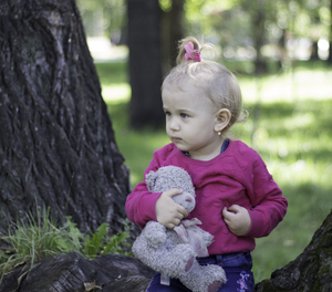 Image-preview_300x200