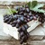 Image-square_50