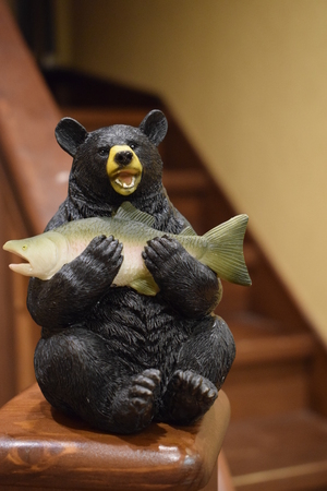 Image-preview_300x200