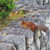 Image-square_50