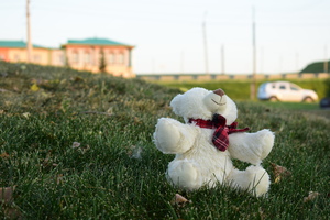 Image-preview_300x200