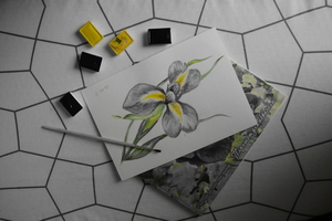 Image-preview_300x200