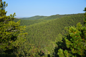 Image-preview_300x200