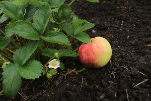 Image-preview_300x200