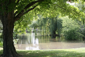 Image-preview_300x200