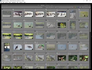 Image-preview_300x200