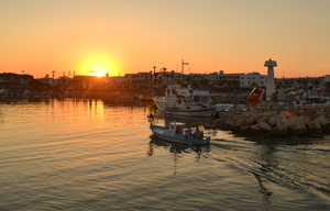 Image-preview_300x200