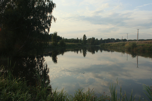 Image-preview_300x200