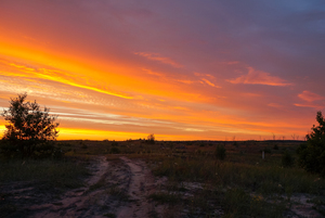 Image-preview_300x200