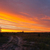 Image-square_50