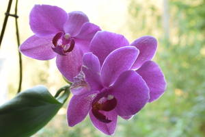 Image-preview_300x200