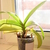 Image-square_50
