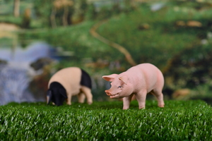 Image-preview_300x200