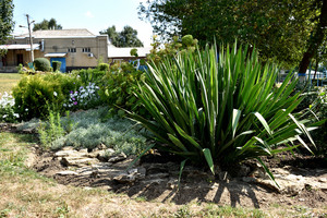 Image-preview_300x200