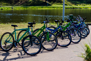 Image-preview_300x200