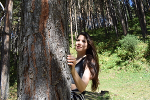 Image-preview_300x200