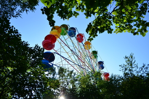 Image-preview_300x200