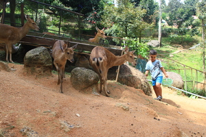 Image-preview_300x200