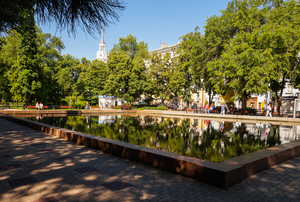 Image-preview_300x200