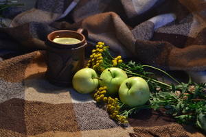 Image-preview_300x200