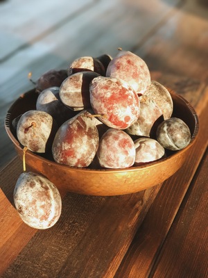 Image-preview_300x200