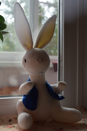 Image-preview_300x200