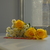 Image-square_50