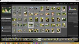 Image-preview_300x200