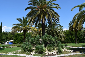 Image-preview_300x200