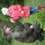 Image-square_50