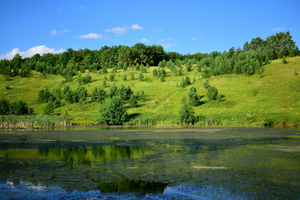 Image-preview_300x200