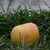 Image-square_50