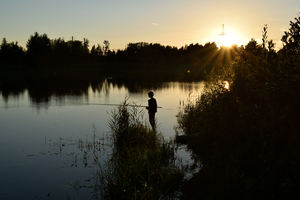 Image-preview_300x200