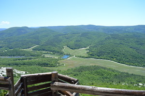 Image-preview_300x200