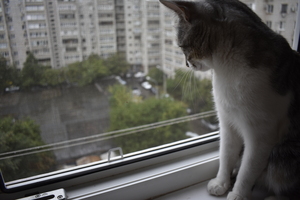 Image-preview_300x200