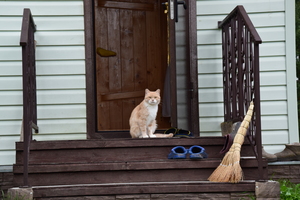 Image-preview_300x200