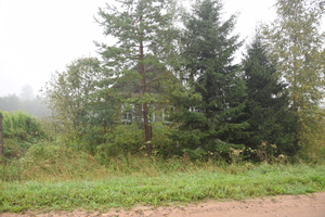 Image-preview_300x200