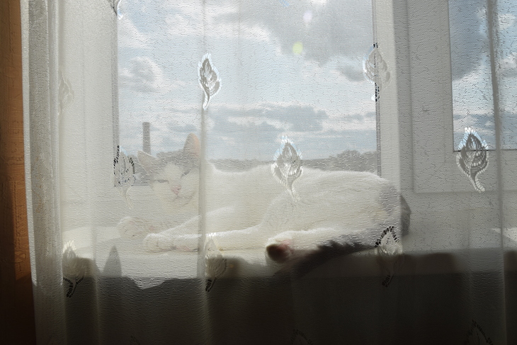 Image-normal