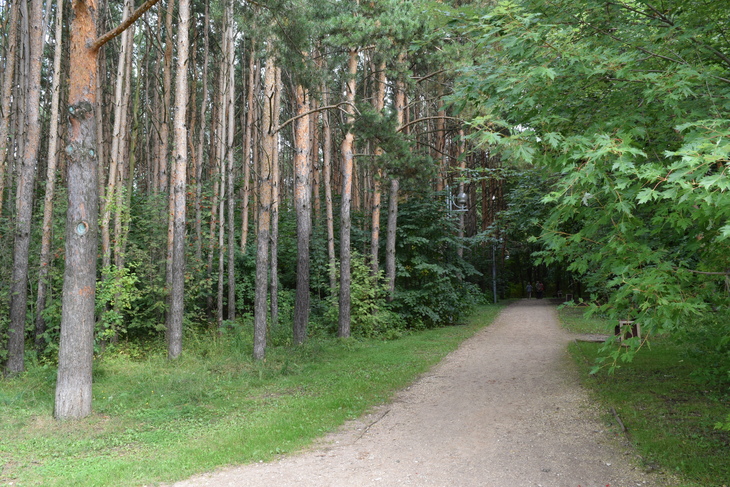 Image-normal